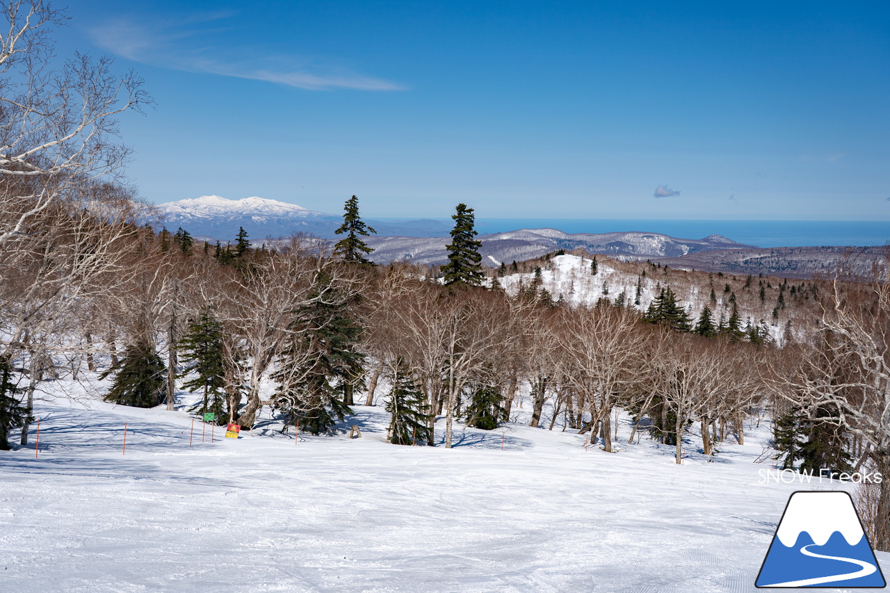 札幌国際スキー場｜ゴールデンウイーク初日も全コース滑走可能OK！！真っ白な雪と澄んだ青空 ＝ 絶好の春スキー＆スノーボード日和♪そして、日本海の彼方に、なんと利尻富士が見えた？！